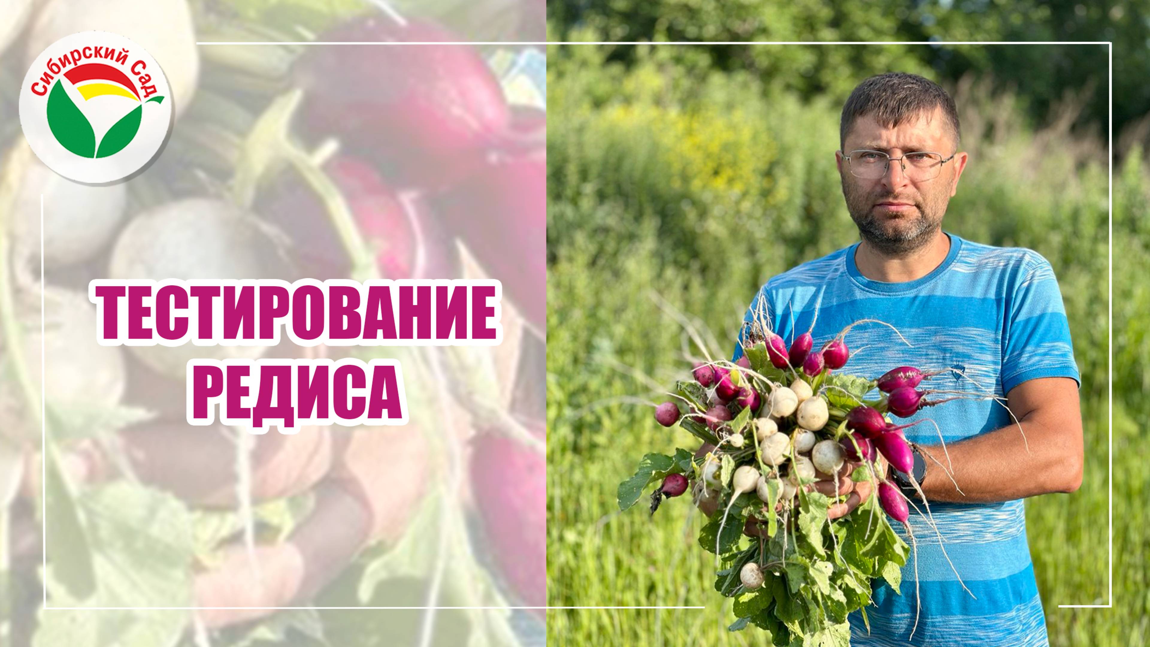 Тестирование редиса