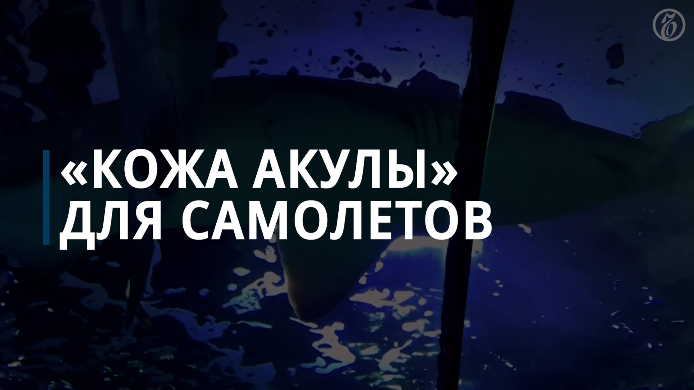 «Кожа акулы» для самолетов