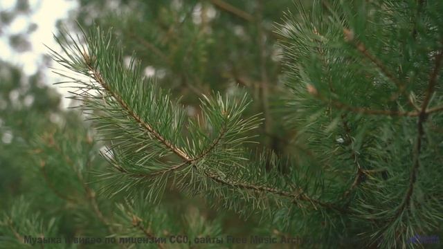 Музыка, под которую хочется целоваться - попробуйте! - Adaptation -- Anthem of Rain -- Unnamed album