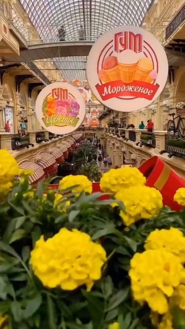 Мир и Красота
