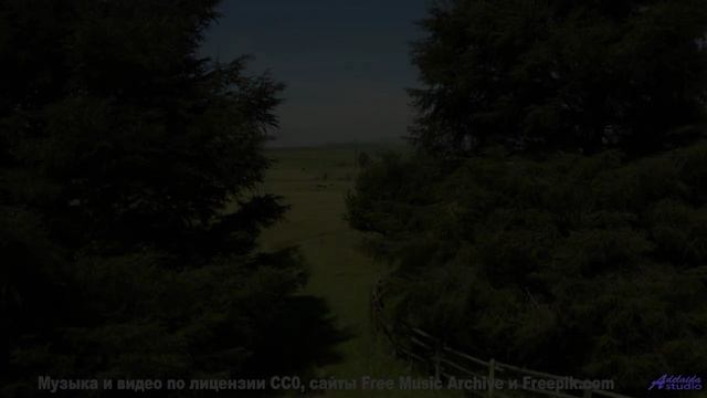 Вы не видели воду такой живой, пока не нажали Play! - Fool -- Red Crickets -- Red Crickets