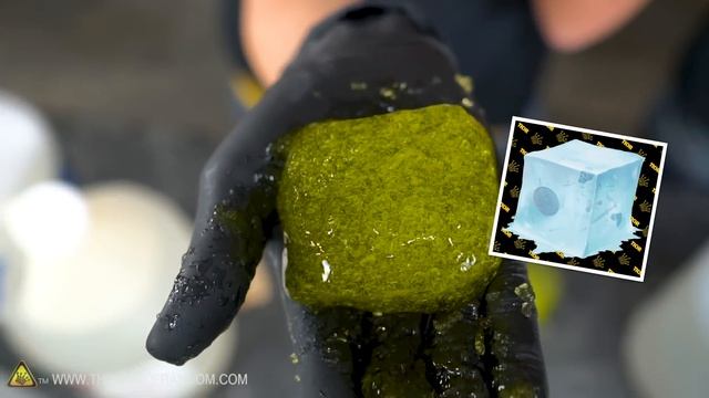 Don't Play With ACID SLIME