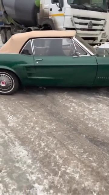 Перетяжка слона Ford Mustang
