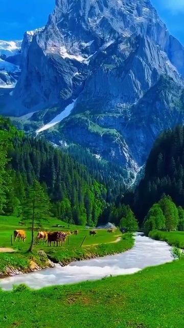 Its about Switzerland 🇨🇭 📍 #travel #viralshorts #viralvideo