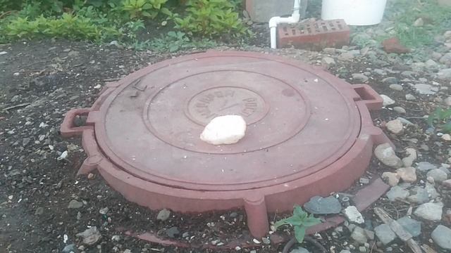 VID_20250620_191038.mp4