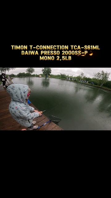 Командная работа дочек и Timon T-Connection Area TCA-S61ML