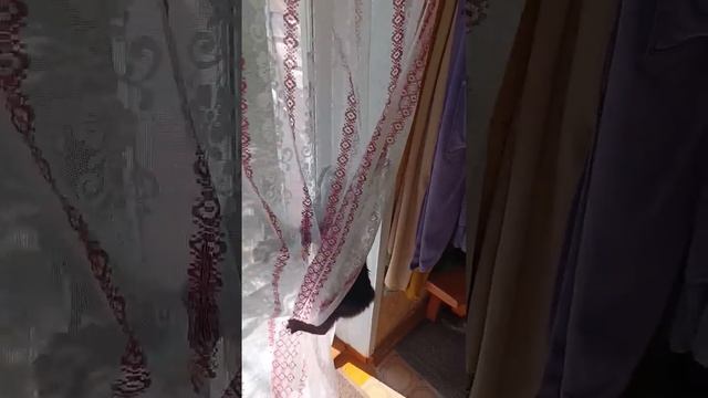 Воробей в котёл по дымоотводу,был найден,но не пойман!!! но на следующий день,кара настигла его.