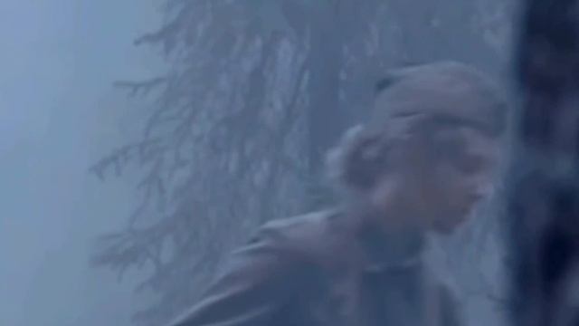 Буктрейлер,представляющий книгу "А зори здесь тихие..."