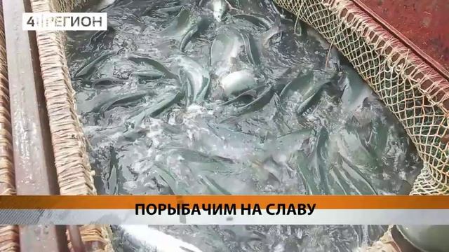 ОСНОВНОЙ ВКЛАД В ЛОСОСЁВУЮ ПУТИНУ ДАЛЬНЕГО ВОСТОКА  ВНОСЯТ РЫБАКИ КАМЧАТКИ• НОВОСТИ КАМЧАТКИ