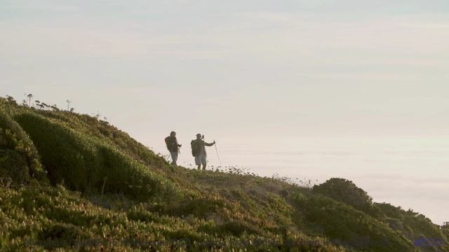 Леса шепчут мелодии прямо в сердце - Teamwork -- Scott Holmes Music -- Corporate + Motivational Back