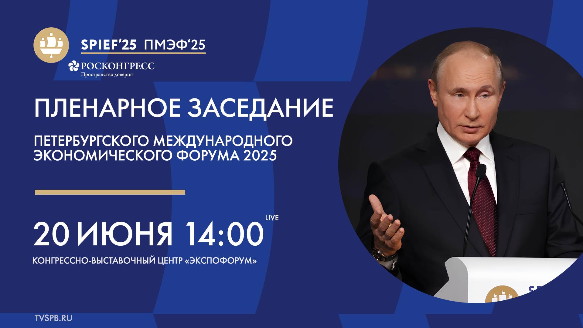 Пленарное заседание Петербургского международного экономического форума 2025