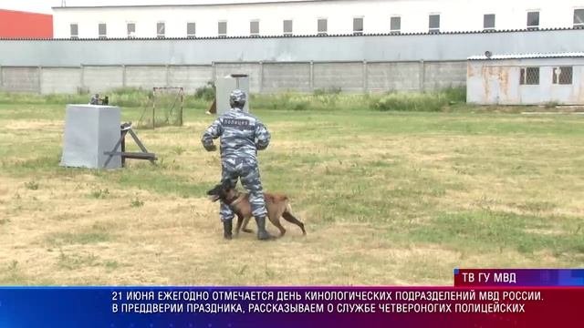 Патрульный участок 19.06.2025