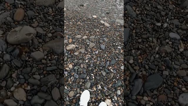 сегодня бегаю в Сочи