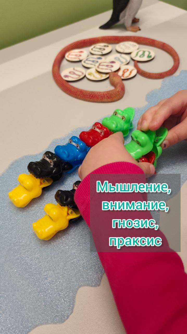 Работаем над ВПФ и запускаем речь. Моторная алалия. Логопед.