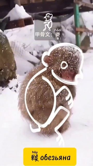 Ключи- животные
