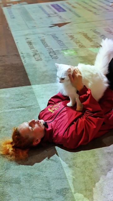 Наши  артисты🐱 🐈