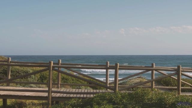 Поля качаются в такт каждому музыкальному движению - 20 Minute Meditation 9 -- HoliznaCC0 -- Space -