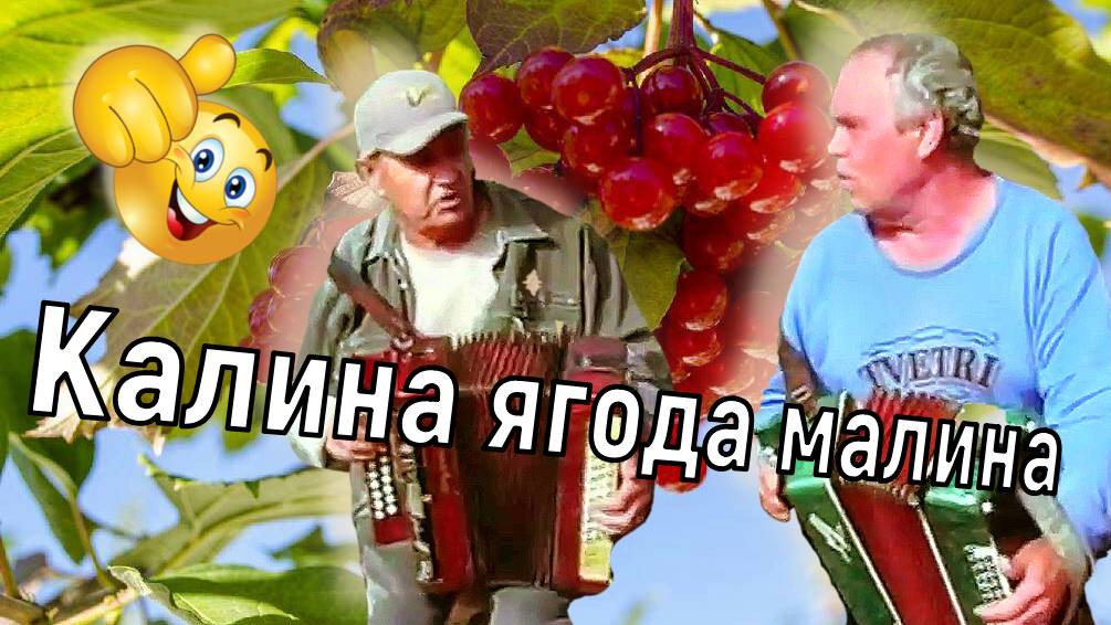 Калина ягода малина.