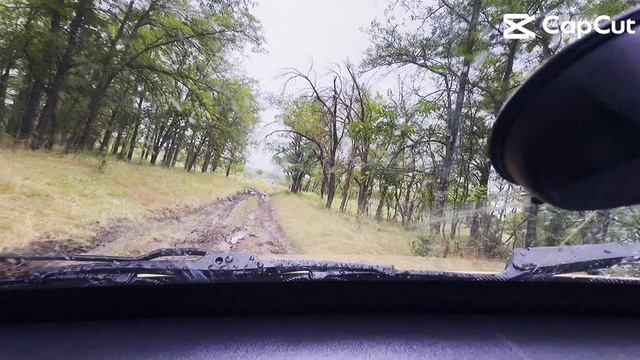 Нива в не дорог