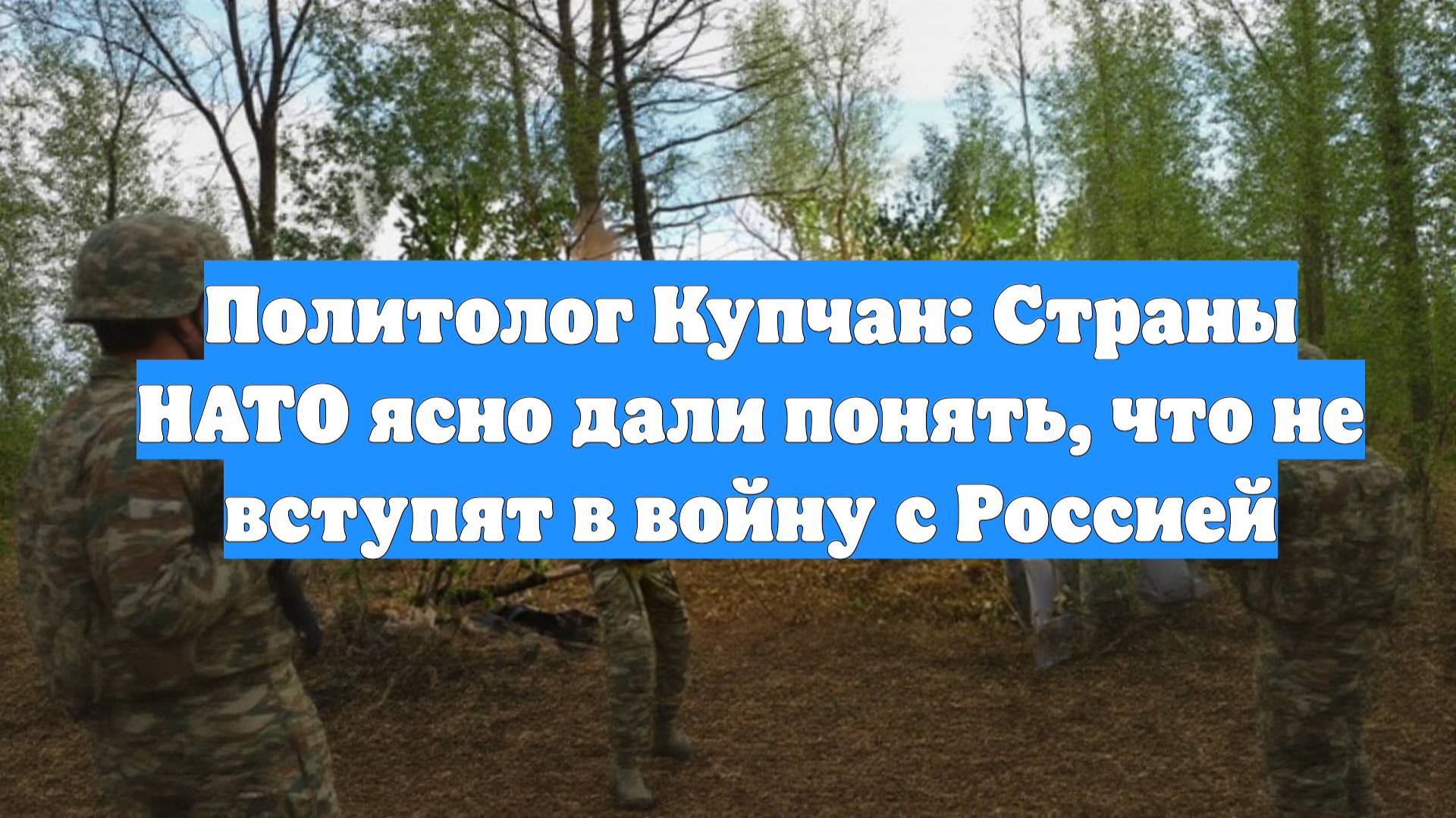 Политолог Купчан: Страны НАТО ясно дали понять, что не вступят в войну с Россией