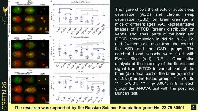 Lymphatic vessels as a target for photobiomdulation