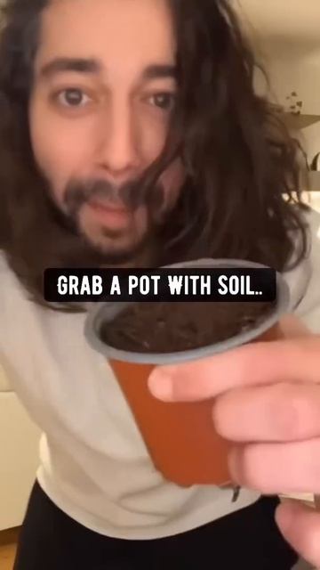 Growing a Date Plant | creative explained