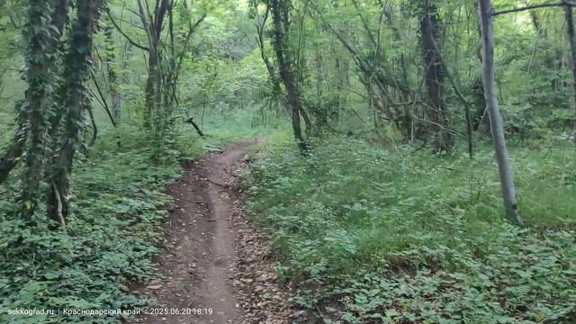 От Кипарисового озера Сукко в ЖК Кипарис через урочище Редкодуб