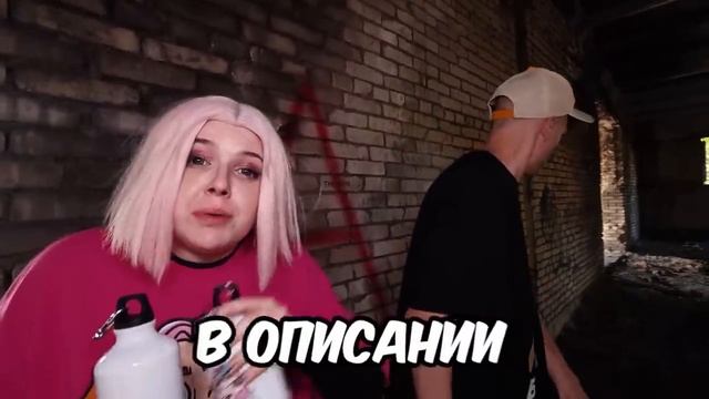 BRUNO (БРУНО) - 24 ЧАСА В БАГАЖНИКЕ С УЛЫБАЮЩИМИСЯ ЖИВОТНЫМИ
