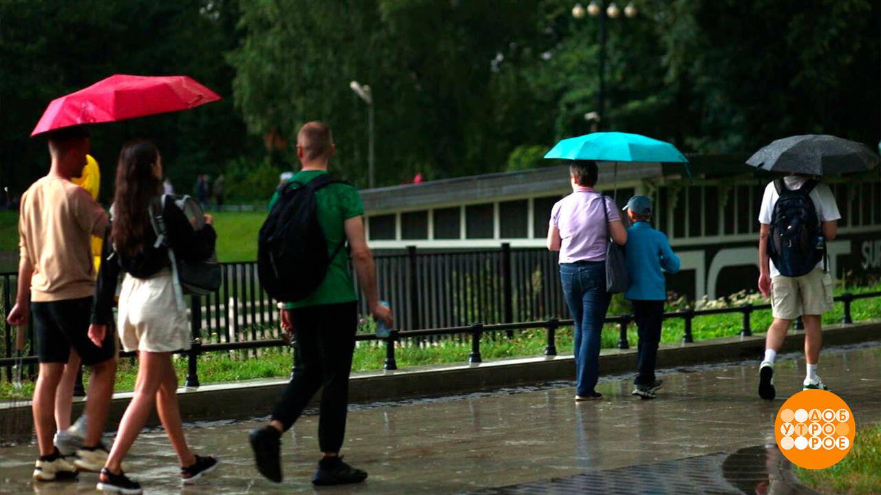 Эти летние дожди, эти радуги и тучи... И все на пользу! Доброе утро. Фрагмент выпуска от 20.06.2025