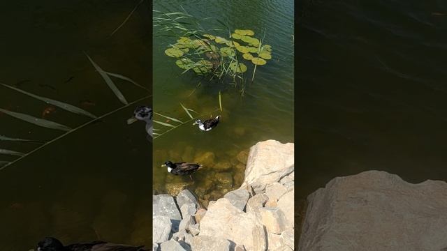 VID_20250610_144118