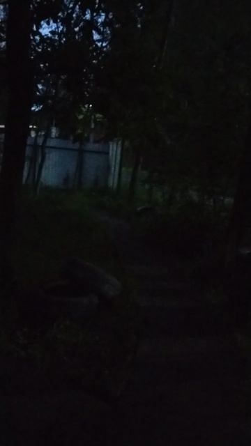 новая площадка