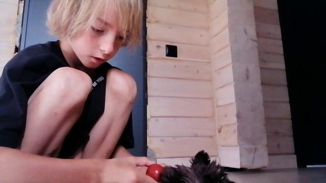 Собака часть3