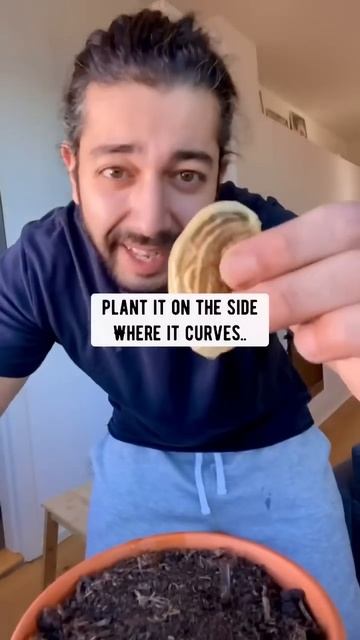 The Official Guide to Growing Your Own Mangos! creative explained