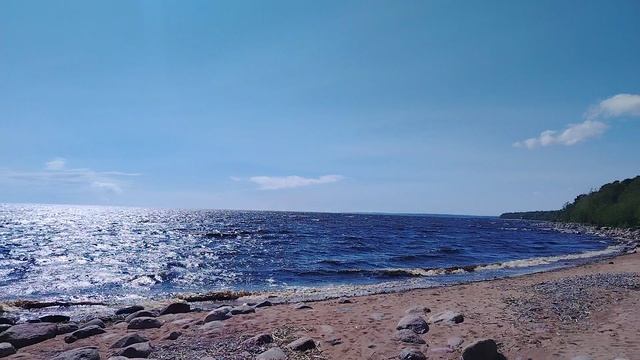 Питер, побережье Зеленогорска.mp4