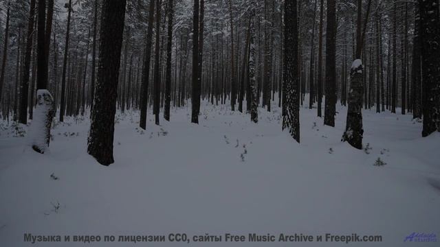 Музыка и виды тут - просто сносит крышу - Velocidad -- Mar Virtual -- Mar Virtual 2