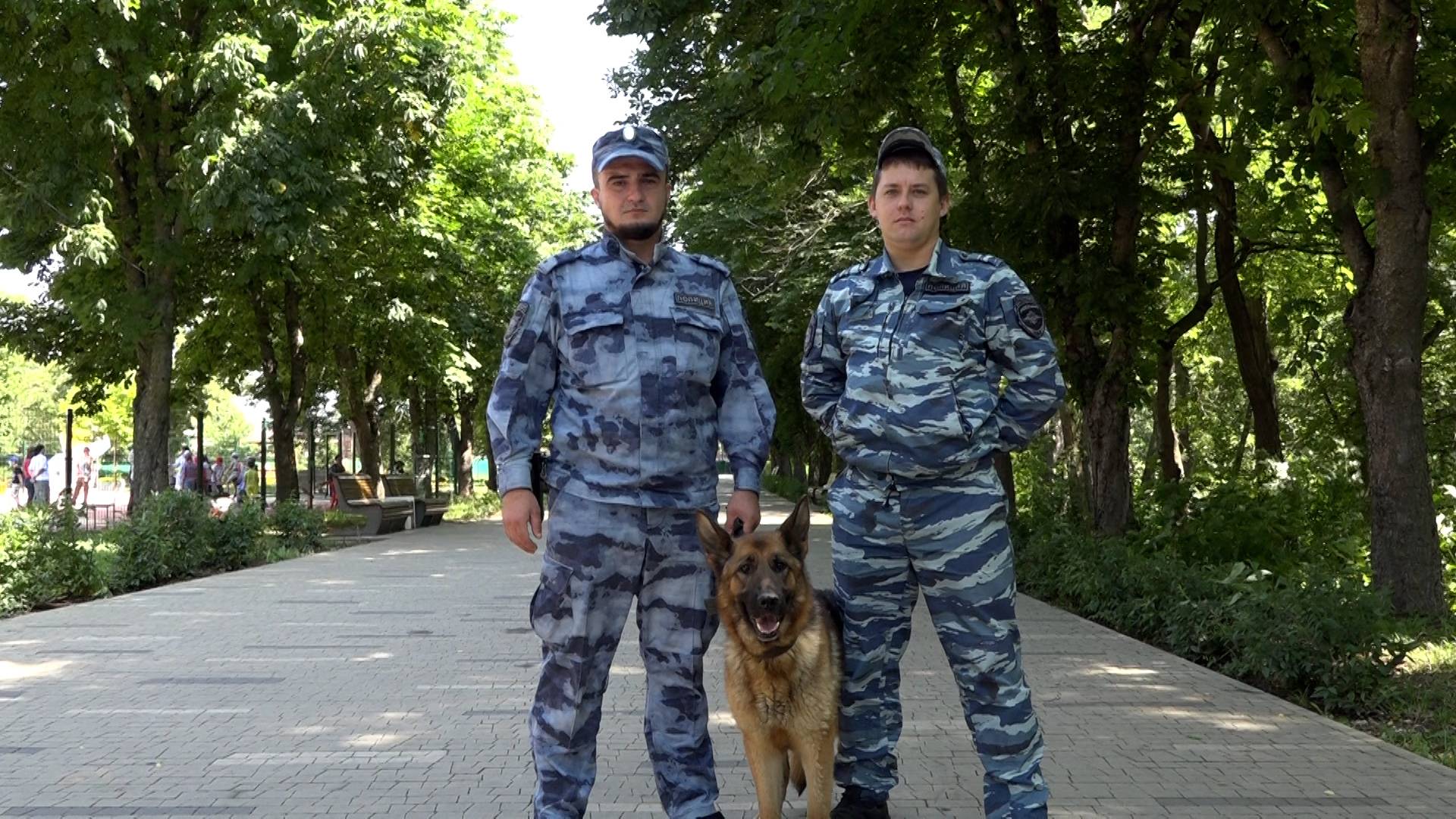 Человек собаке друг и не только…