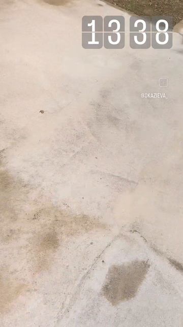 VID_20250617_033957_483.mp4