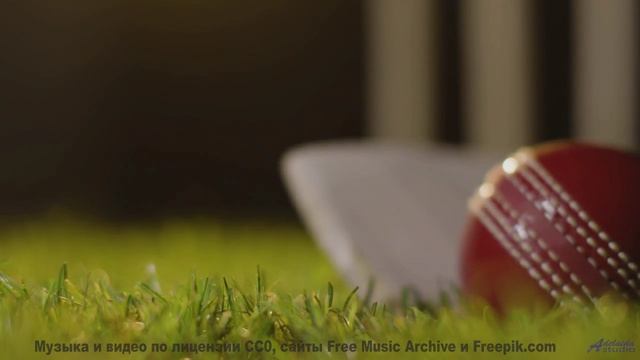 Пейзажи взрываются эмоциями вместе с этим треком - Wasted Hours -- Ayla Nereo -- Beheld