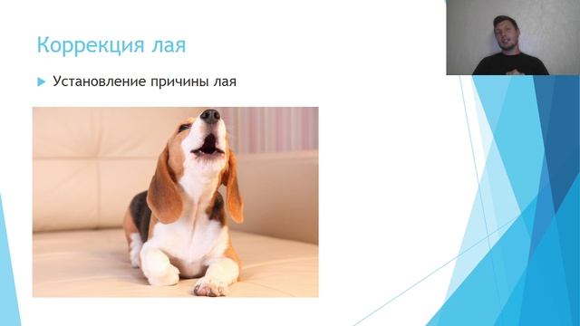 Коррекция нежелательного поведения 2025-06-20