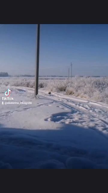 Волшебная сказка