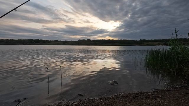 Рыбацкие приключения