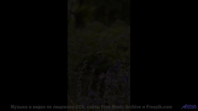 Дорога домой становится короче, когда её сопровождает этот саундтрек - woah -- Vincent Augustus -- W