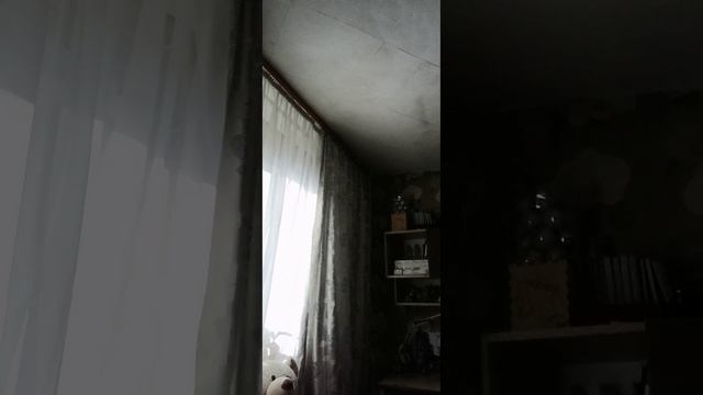 lv_0_20250620201030.mp4