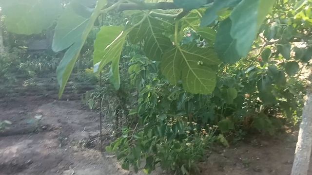 в конце бабушка пришла 😅. сори ребят
