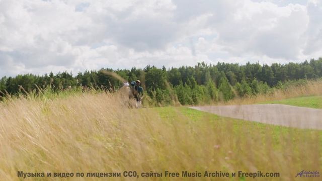 Ты не сможешь дышать, пока не досмотришь до конца! - starfish -- los pilotos -- starfish