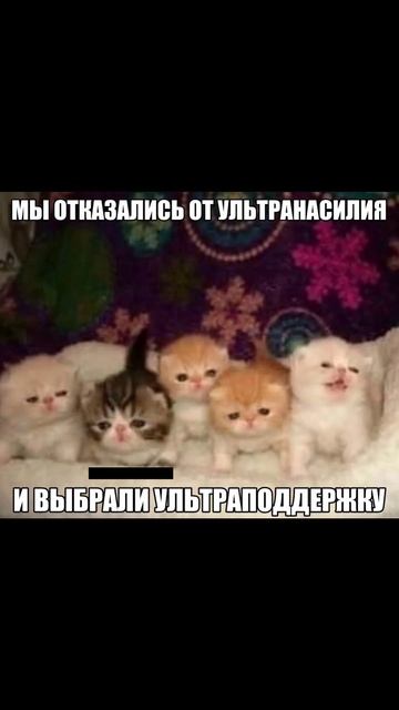 Как люди становятся психологами