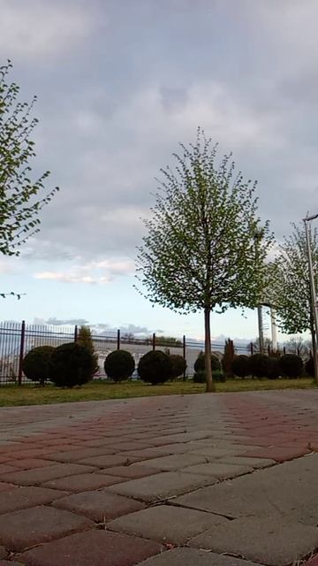 сестрёнки