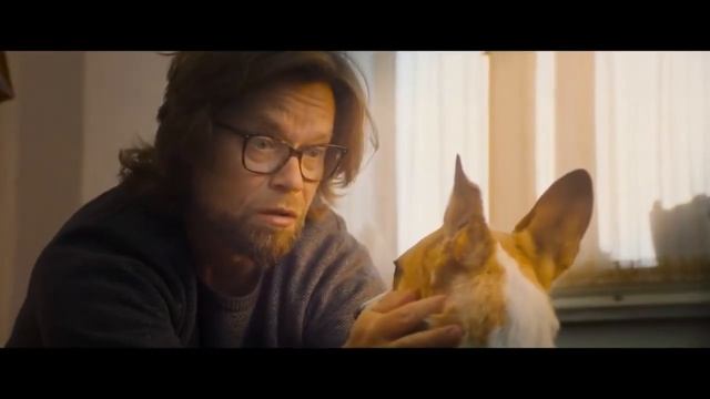 Фильм Гампи  Собачья жизнь _ трейлер _ Gump - Jsme dvojka 2025
