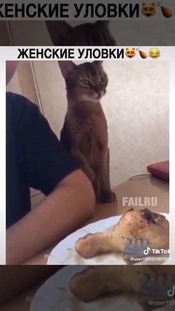 Аферюга 😂