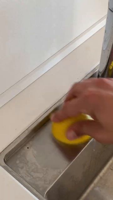 #shorts The Power of Lemons